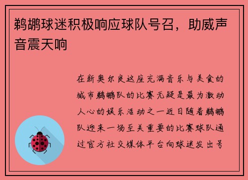 鹈鹕球迷积极响应球队号召，助威声音震天响